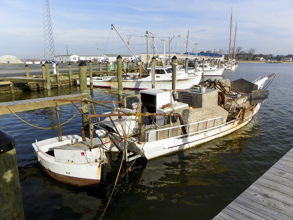 21 February 2016, Deal Island MD