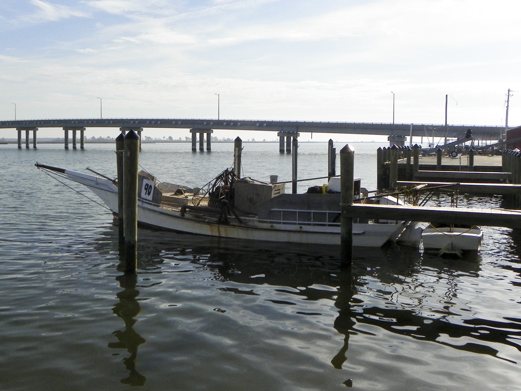 21 February 2016, Deal Island MD