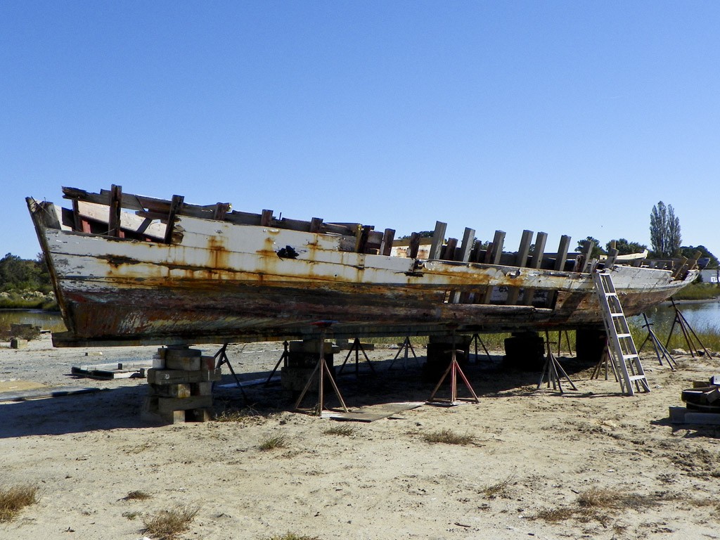 19 October 2015, Deal Island MD