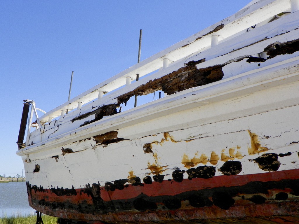 26 May 2013, Deal Island MD