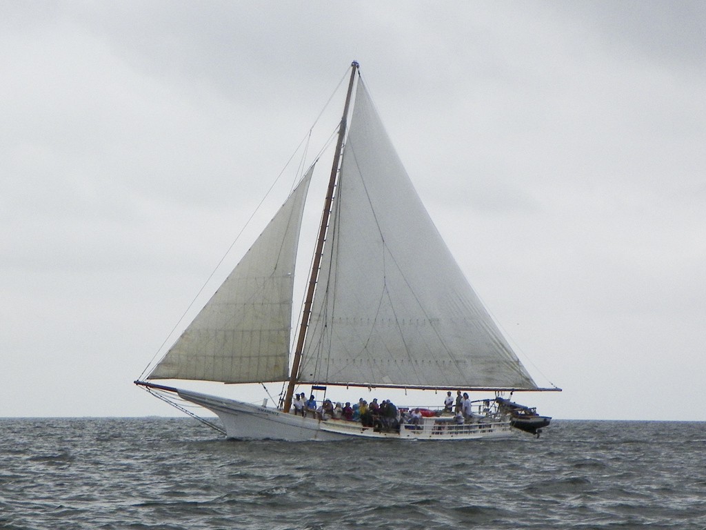 2 September 2013, Deal Island MD