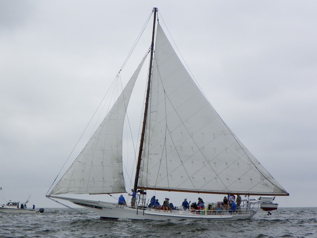 2 September 2013, Deal Island MD