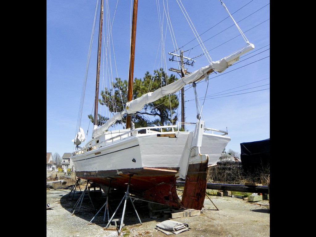 6 April 2016, Tilghman Island MD