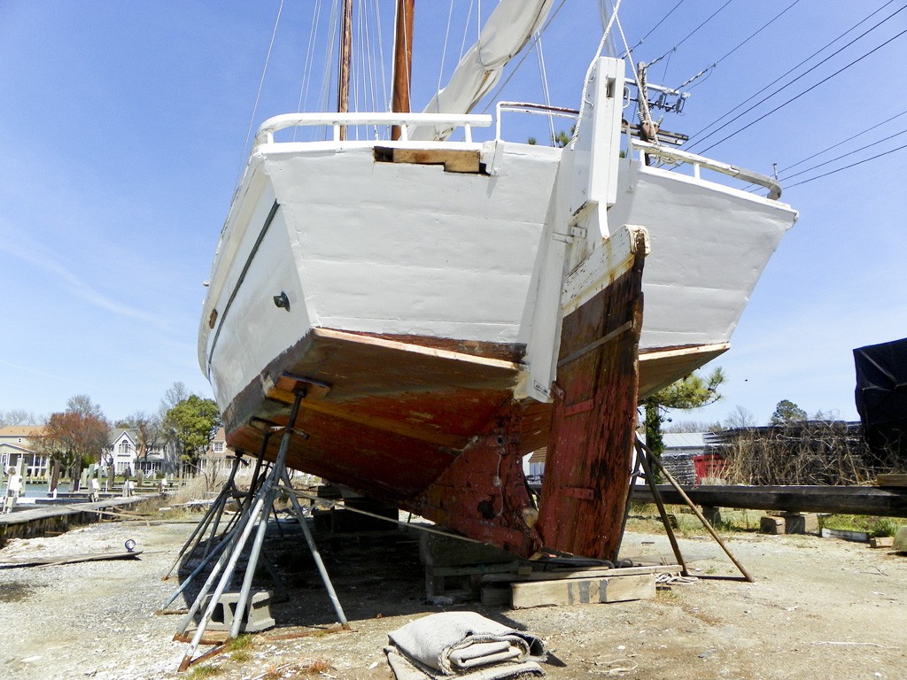 6 April 2016, Tilghman Island MD