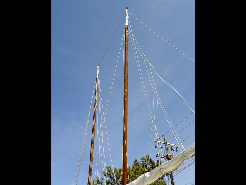 6 April 2016, Tilghman Island MD