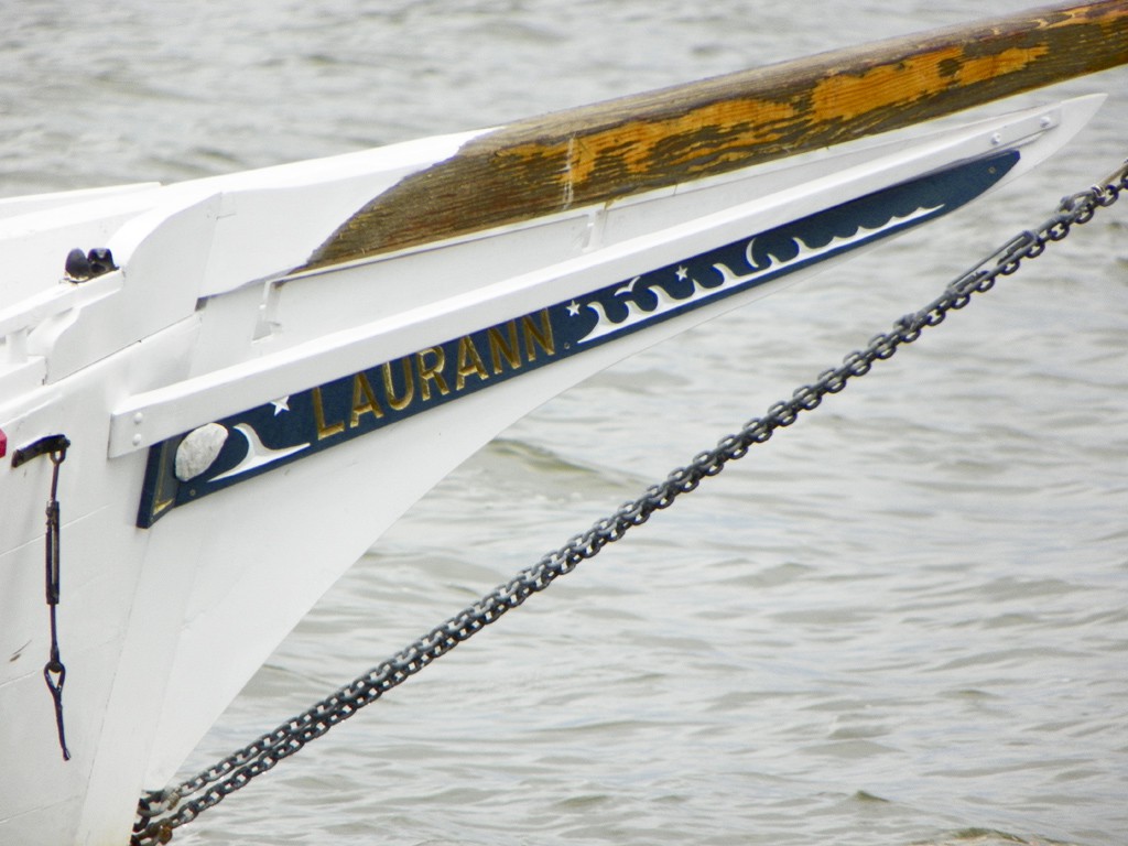 5 June 2011, Tilghman Island MD