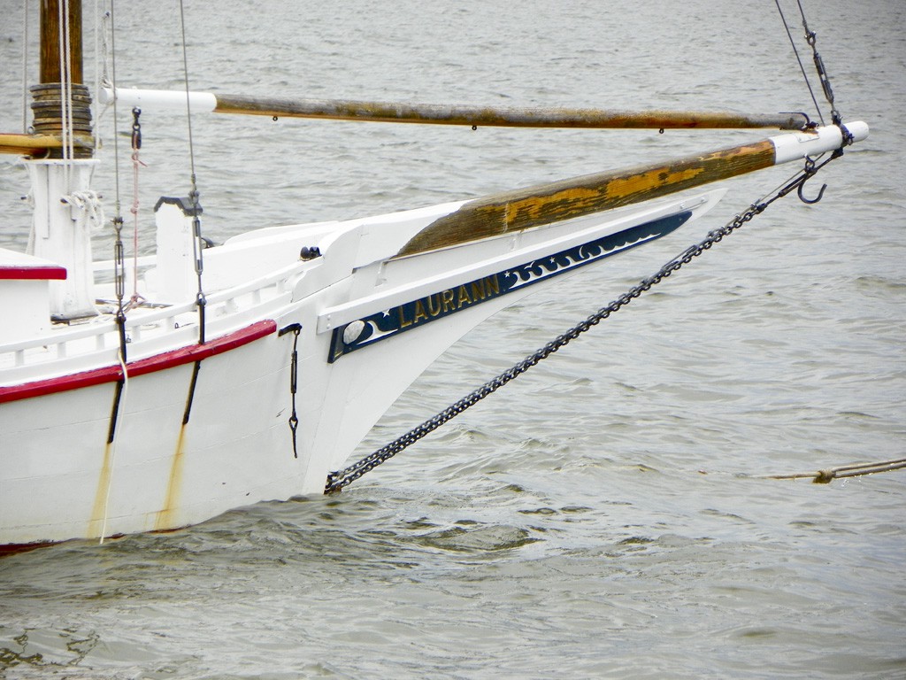 5 June 2011, Tilghman Island MD