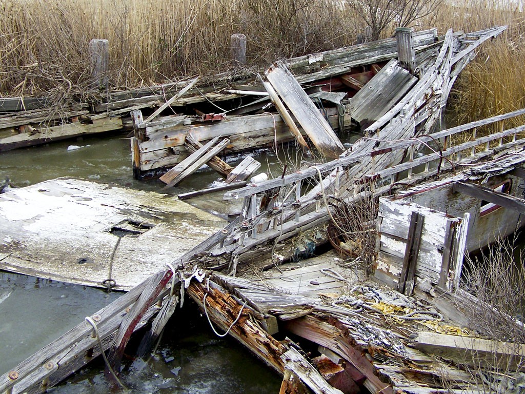 18 January 2009, Tilghman Island MD