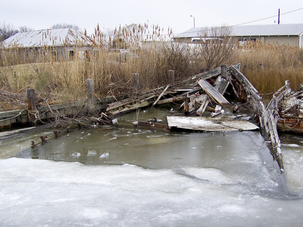 18 January 2009, Tilghman Island MD