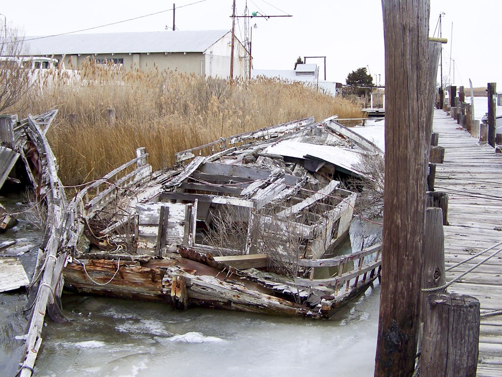18 January 2009, Tilghman Island MD