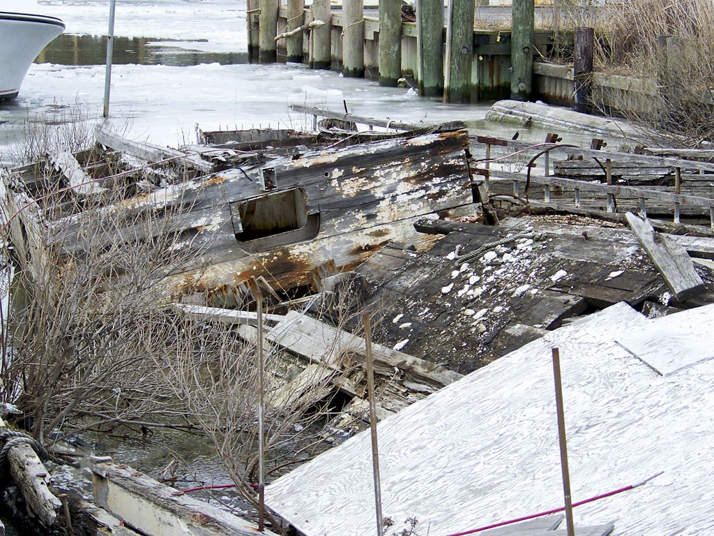 18 January 2009, Tilghman Island MD