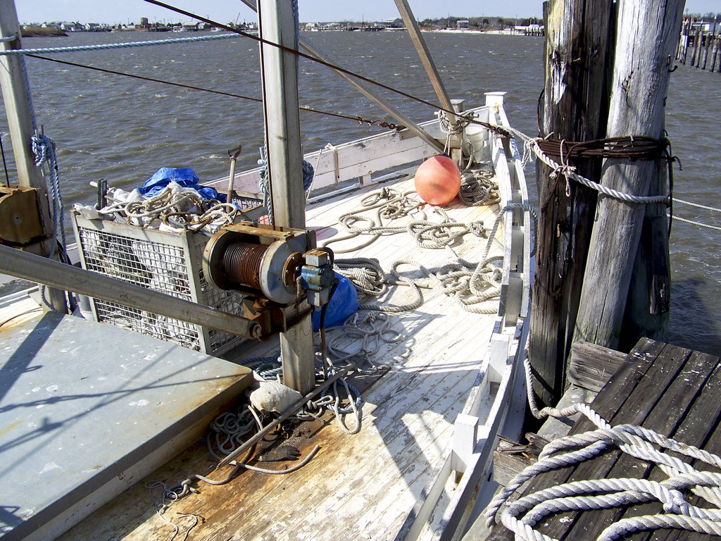 20 February 2009, Port Norris NJ