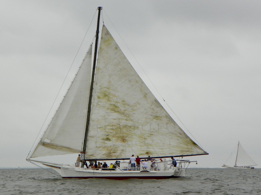 2 September 2013, Deal Island MD