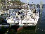 6 March 2009, Kinsale VA